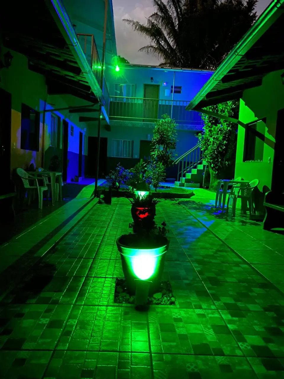 Quintal da pousada à noite com luzes decorativas entre as plantas