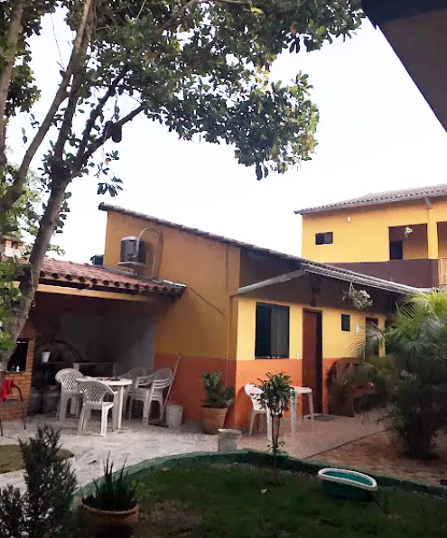 Pátio interno com plantas e gato preto